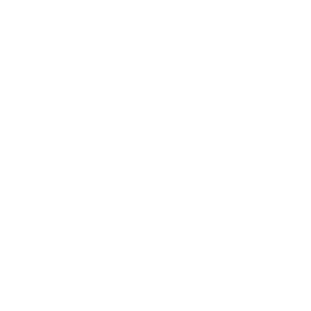 Alpine Eagle Logo White